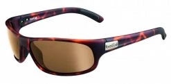 FlightSunglasses Bolle Anaconda 12334-Matte Tortoise With Phantom Brown Lenses