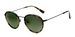 FlightSunglasses Etnia Barcelona Dumbo Sun Sunglasses