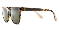 FlightSunglasses Etnia Barcelona Adda Sun Sunglasses