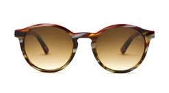 FlightSunglasses Etnia Barcelona Avinyo Sunglasses