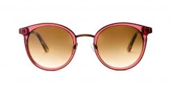 FlightSunglasses Etnia Barcelona Blai Sunglasses