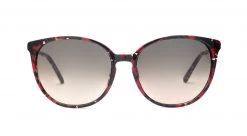 FlightSunglasses Etnia Barcelona Icaria Sunglasses