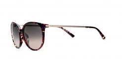 FlightSunglasses Etnia Barcelona Icaria Sunglasses