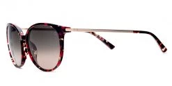 FlightSunglasses Etnia Barcelona Icaria Sun Sunglasses