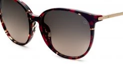 FlightSunglasses Etnia Barcelona Icaria Sunglasses
