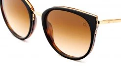 FlightSunglasses Etnia Barcelona Ifara Sun Sunglasses