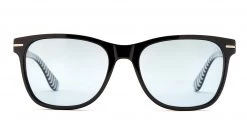 FlightSunglasses Etnia Barcelona Minnesota Sun Sunglasses 19 FlightSunglasses Etnia Barcelona Minnesota Sun Sunglasses