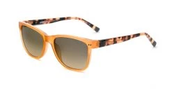 FlightSunglasses Etnia Barcelona SALVÀ Sunglasses