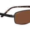 FlightSunglasses Serengeti San Remo Progressive Prescription Sunglasses Shop Serengeti Prescription