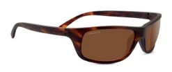 FlightSunglasses Serengeti Bormio Progressive Prescription Shop Serengeti Prescription