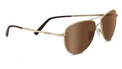 FlightSunglasses Serengeti Alghero Progressive Vision Prescription Shop Serengeti Prescription