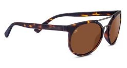 FlightSunglasses Customer Provided Frame (lens Only) Serengeti Progressive Sunglasses, Customer Provided Frame (Lenses Only)