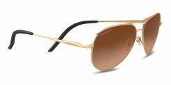 FlightSunglasses Serengeti Carrara Small Single Vision Prescription Sunglasses Shop Serengeti Prescription