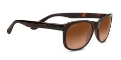 FlightSunglasses Serengeti Anteo Progressive Prescription Sunglasses