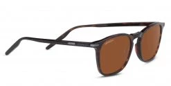 FlightSunglasses Shop Serengeti Prescription Serengeti Delio Progressive Prescription Sunglasses