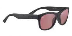 FlightSunglasses Shop Serengeti Prescription Serengeti Chandler Progressive Prescription 16 FlightSunglasses Shop Serengeti Prescription Serengeti Chandler Progressive Prescription