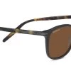 FlightSunglasses Serengeti Delio Sunglasses