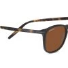 FlightSunglasses Serengeti Delio Single Vision Prescription Sunglasses Shop Serengeti Prescription