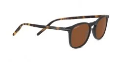 FlightSunglasses Serengeti Delio Single Vision Prescription Sunglasses Shop Serengeti Prescription
