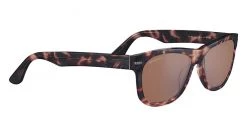 FlightSunglasses Shop Serengeti Prescription Serengeti Foyt Large Single Vision Prescription Sunglasses