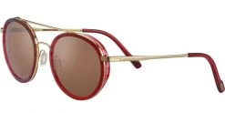 FlightSunglasses Serengeti Geary Sunglasses