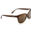 FlightSunglasses Maui Jim Starfish 744 Sunglasses- Translucent Chocolate With Tortoise With HCL Bronze Lens