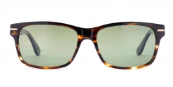 FlightSunglasses Etnia Barcelona Harvard Sun Sunglasses