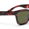 FlightSunglasses Serengeti Rolla Sunglasses