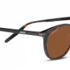 FlightSunglasses Serengeti Arlie Progressive Prescription Sunglasses Shop Serengeti Prescription