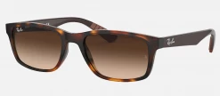 Pilot & Driver Ray-Ban RB4234 Sunglasses 15 Pilot & Driver Ray-Ban RB4234 Sunglasses