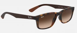 Pilot & Driver Ray-Ban RB4234 Sunglasses 13 Pilot & Driver Ray-Ban RB4234 Sunglasses
