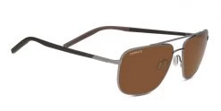 FlightSunglasses Serengeti Tellaro Sunglasses 17 FlightSunglasses Serengeti Tellaro Sunglasses
