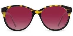FlightSunglasses Shwood Madison Acetate Sunglasses