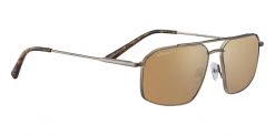 FlightSunglasses Serengeti Wayne Progressive Prescription Sunglasses Shop Serengeti Prescription